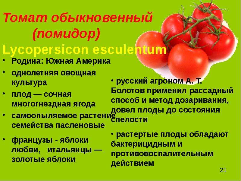 Помидоров состав слова. Витамины в томатах. Томат обыкновенный. Витамины в помидорах. Томаты относятся к группе.