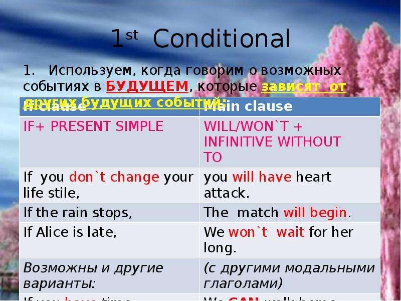 Conditionals презентация 7 класс