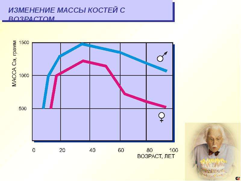 Костя возраст. Изменение костей с возрастом. Изменение веса костей с возрастом. Масса костей с возрастом. Костная масса меняется с возрастом.