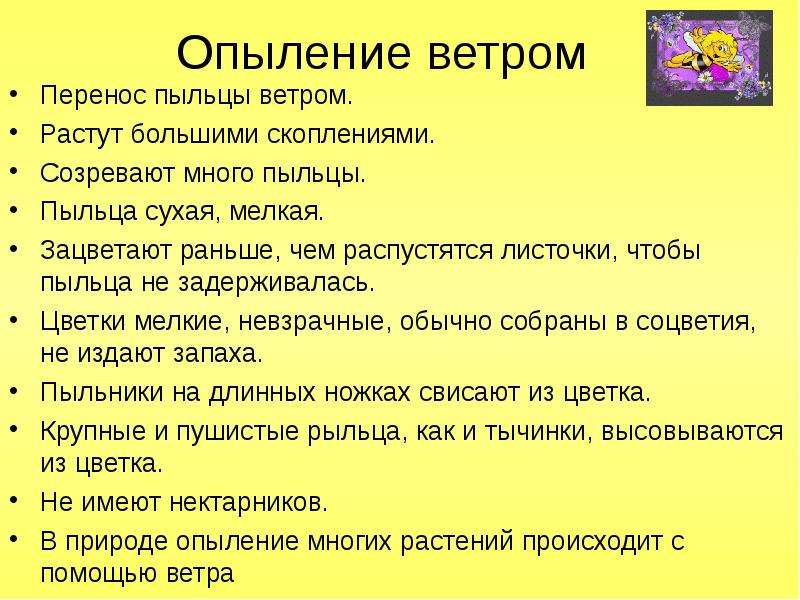 Ветерок признак