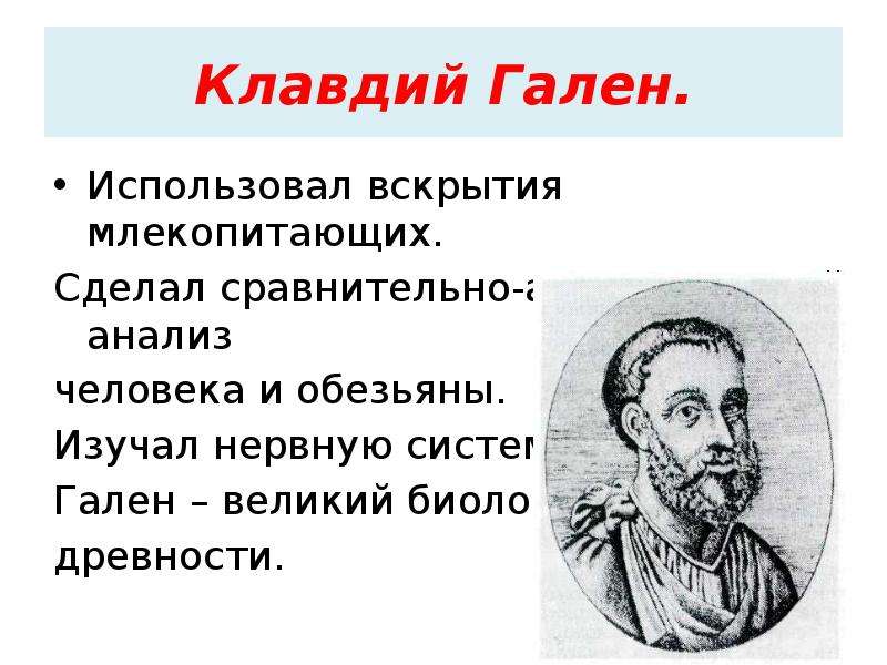 Гален биология. Гален ученый вклад.