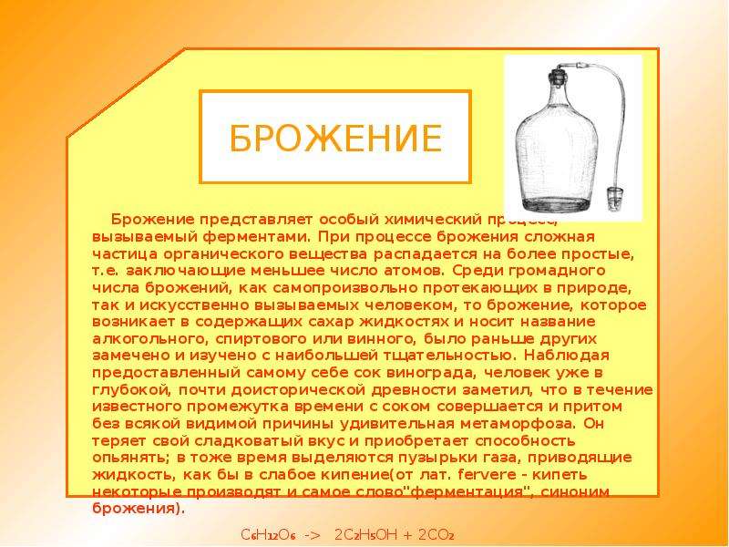 Процесс брожения. Брожение кратко. Как происходит процесс брожения. Процесс брожения кратко.