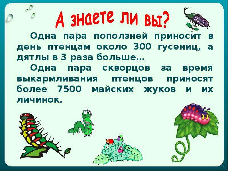 Питание животных 3 класс. Как питаются животные. Доклад как животные питаются. Доклад на тему как питаются животные. Рассказ как животные питаются.