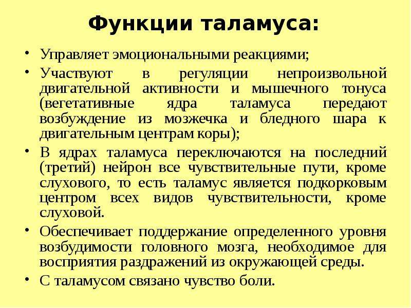 Таламус функции. Функции таламуса. Таламус функции кратко. Функции таламуса физиология. Основная функция таламуса.