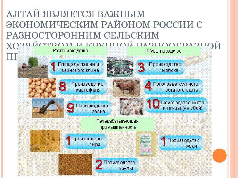 Презентация на тему население алтайского края