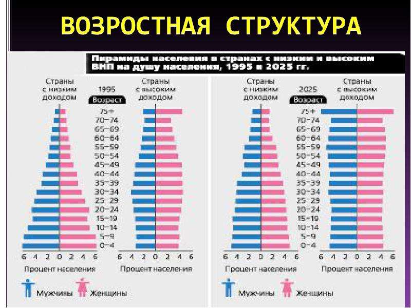 Структура населения презентация