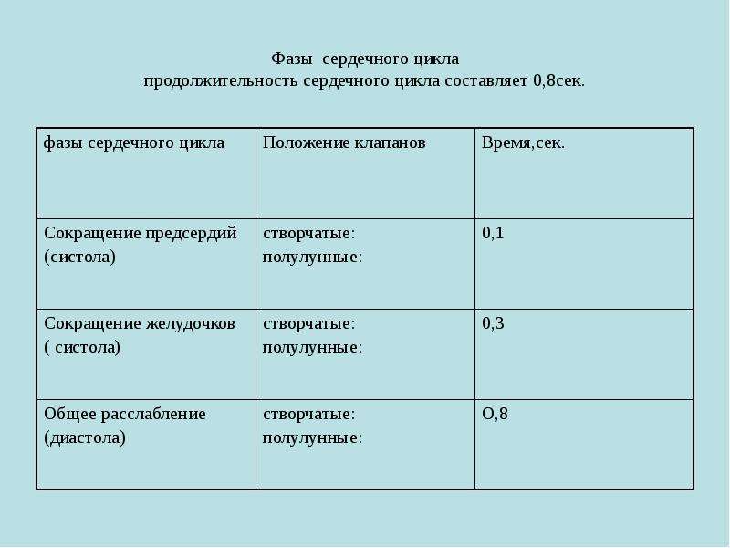 Фазы сердечного цикла схема