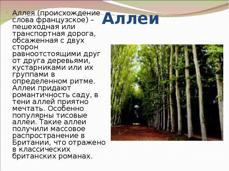 Что значит алеть. Описание аллеи. Доклад про аллею. Аллея это определение. Аллея это определение для детей.