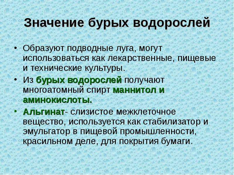 Функция бурых водорослей. Значение бурых водорослей. Значение бурой водоросли. Значение бурых водорослей в природе и жизни человека. Значение бурых водорослей в природе.