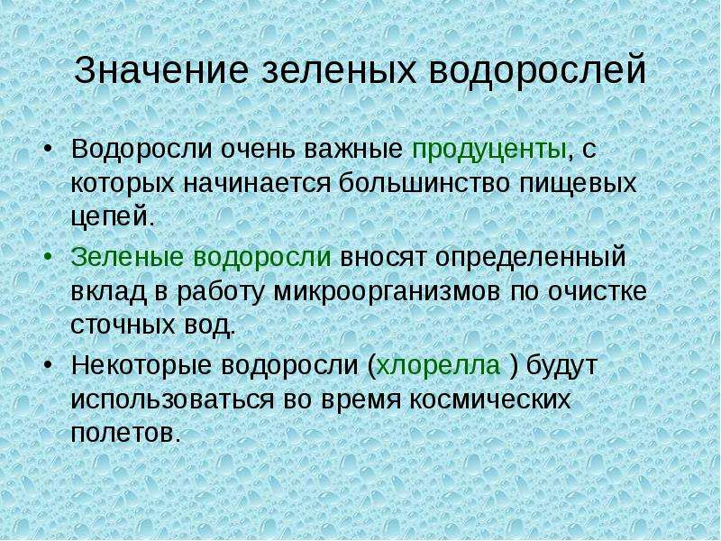 Зеленый смысл. Значение зеленых водорослей. Знаение зелёных водорослей. Роль в природе зеленых водорослей. Роль зеленых водорослей в жизни человека.