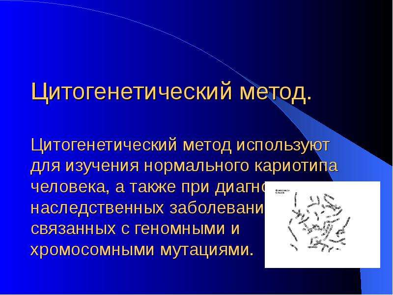 Цитогенетический метод картинки для презентации