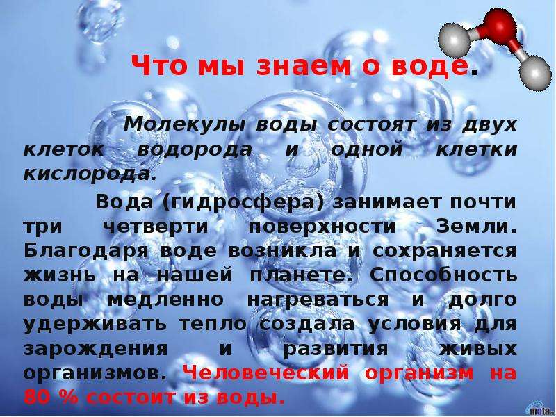 Благодаря воде. Что мы знаем о воде. Молекула воды интересные факты. Вода что знаем о воде?. Что мы знаем о воде 2 класс.