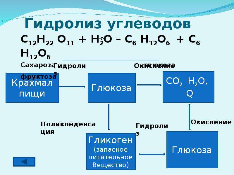Крахмал вступает в реакции. Гидролиз классификация реакции. Гидролиз углеводов. Реакция гидролиза углеводов. Ферментативный гидролиз углеводов.