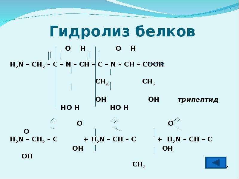 Схема гидролиза трипептида