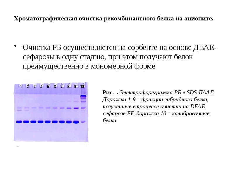 Современная технология получения рекомбинантного инсулина презентация