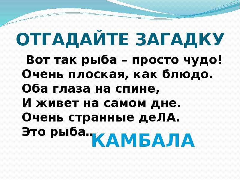 Вот такая рыба просто чудо очень плоская как блюдо