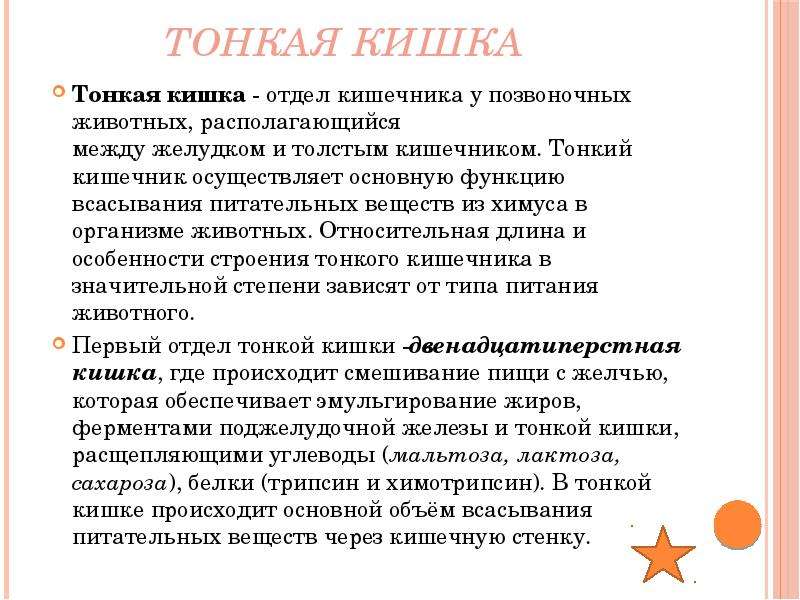 Сравните строение тонкого и толстого кишечника