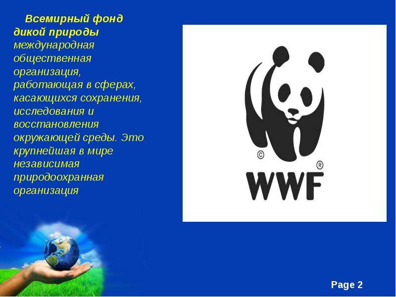 Wwf презентация на английском