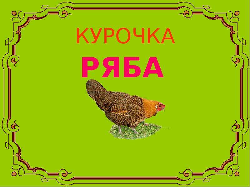 Курочка ряба презентация