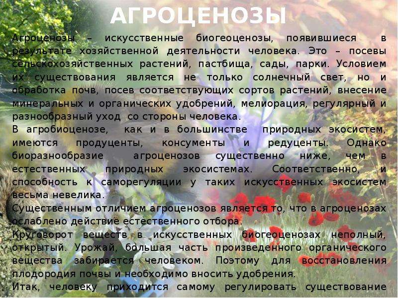 Наличие явиться. Примером аллогенной сукцессии является. Агроценоз примеры. Особенности агроценоза. Примеры биогеоценоза в результате деятельности человека.