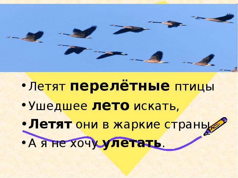 Лети найди. Загадки про улетающих птиц. Птицы улетели стих. Птицы на Юг улетают стих. Стихотворение птицы улетают.