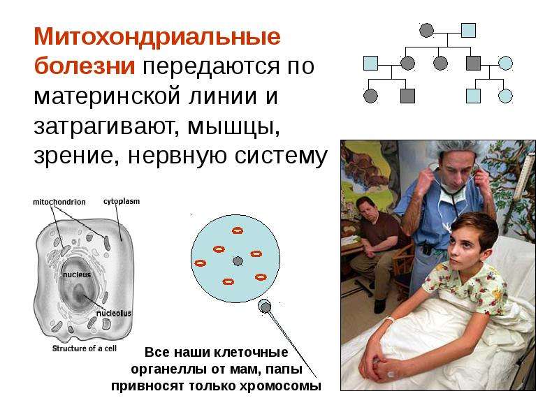 Классификация мутаций схема