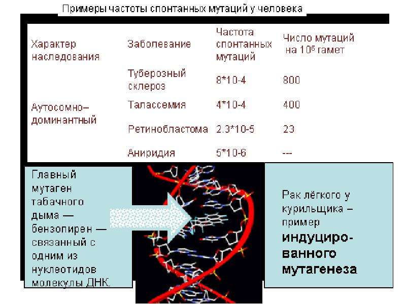 Классификация мутаций схема