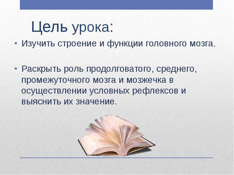 Раскройте роль. На каком уроке изучают мозг.