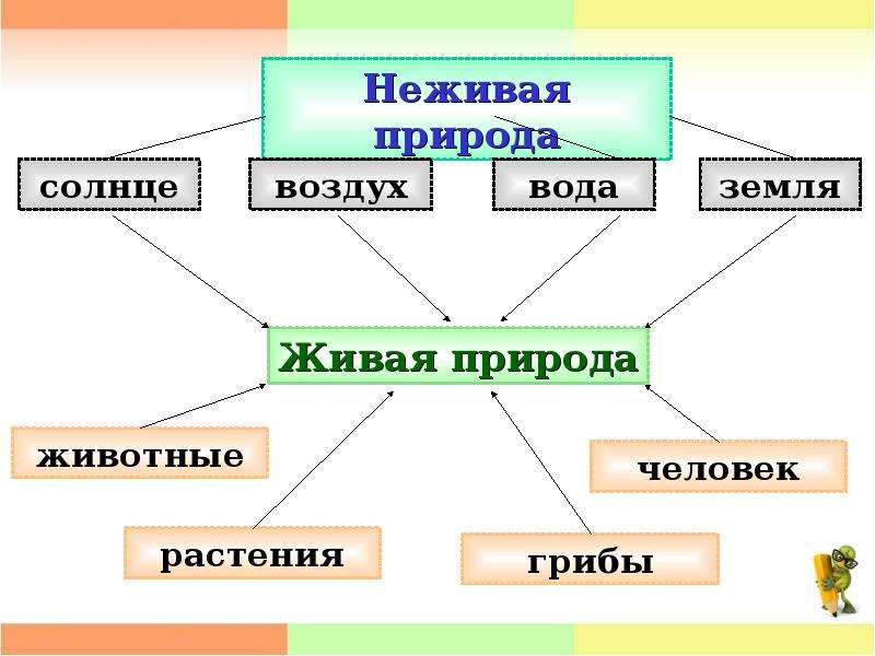 Неживая и живая природа весной презентация окружающий мир 2 класс плешаков