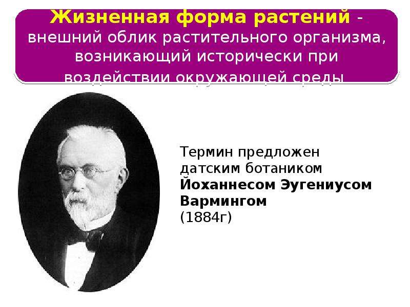 Термин предложенный. Варминг жизненная форма. Жизненная форма растений Варминг. Варминг Йоханнес Эугениус. Жизненная форма это внешний облик.