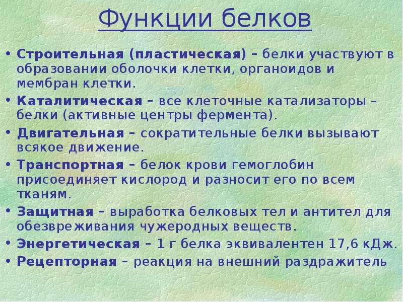 Презентация по белкам