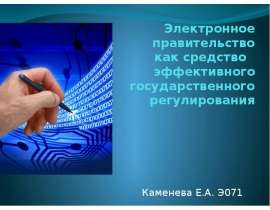 Электронное правительство как средство эффективного государственного регулирования Каменева Е.А. Э071