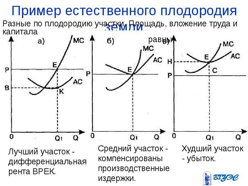 Рынок земли презентация по экономике