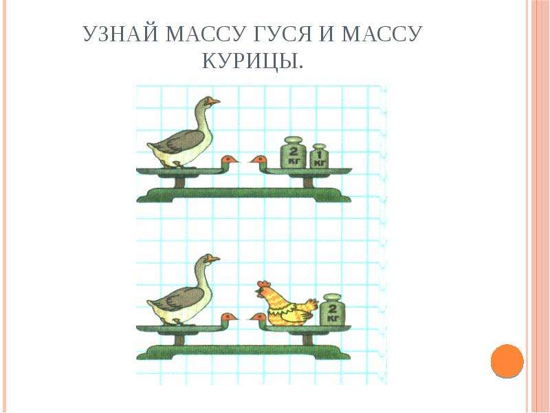 Определите по рисунку. Узнай массу курицы. Узнай массу гуся и массу курицы. По рисункам узнай массу гуся и массу курицы. Узнай массу по рисунку 1 класс.