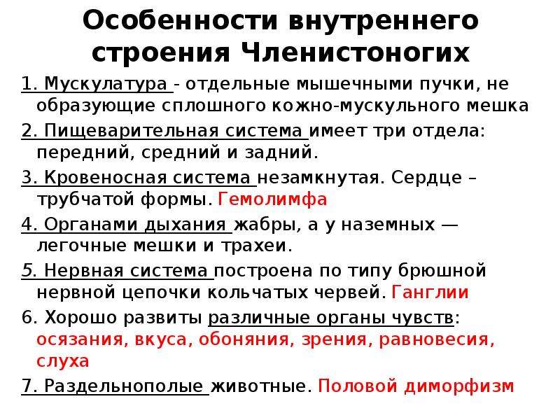 Особенности членистоногих. Общая характеристика членистоногих. Особенности внутреннего строения членистоногих. Основные черты типа Членистоногие. Общая характеристика членистоногих 7.