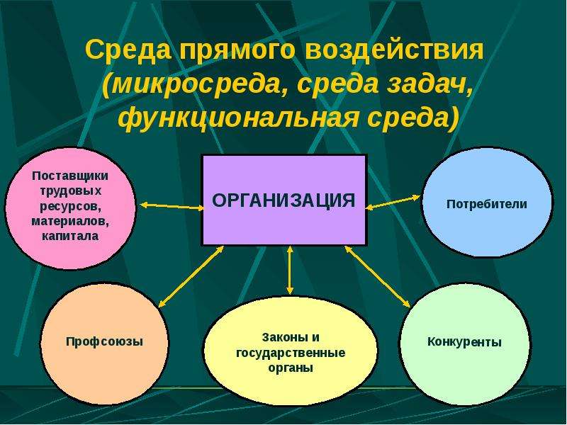 Среда задач. Среда прямого воздействия микросреда. Внешняя микросреда (среда прямого воздействия). Функциональная среда. Факторы прямого воздействия (микросреда).