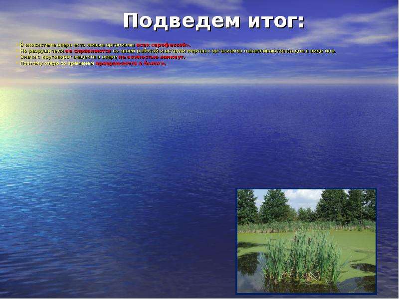 Озера бывают. Живые организмы озера. Что такое озеро 3 класс. Экосистема озера 3 класс окружающий мир. Экосистема озера Ленинградской области.