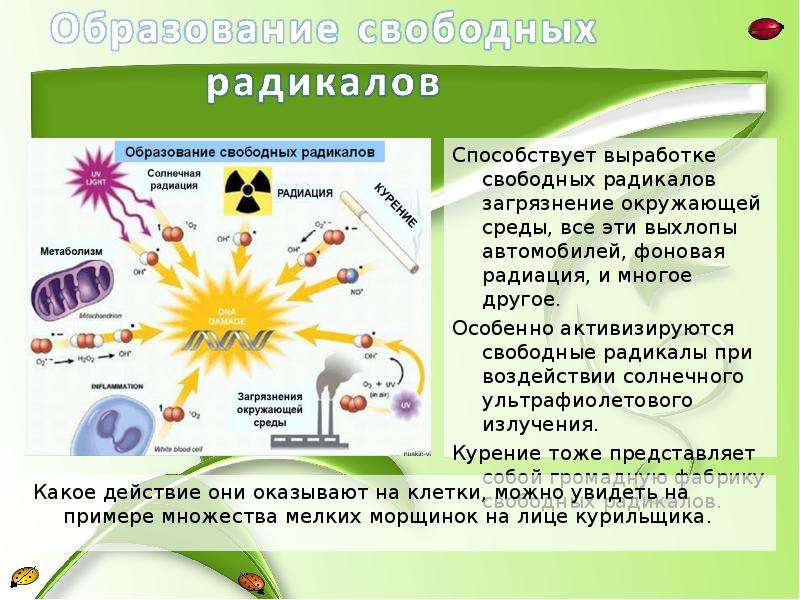 Презентация на тему радикалы