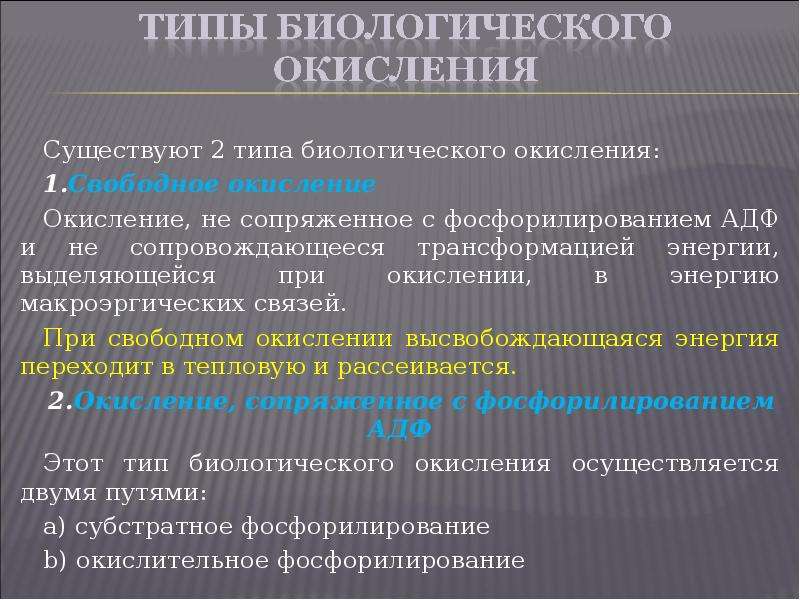 Сколько энергии выделяется при окислении