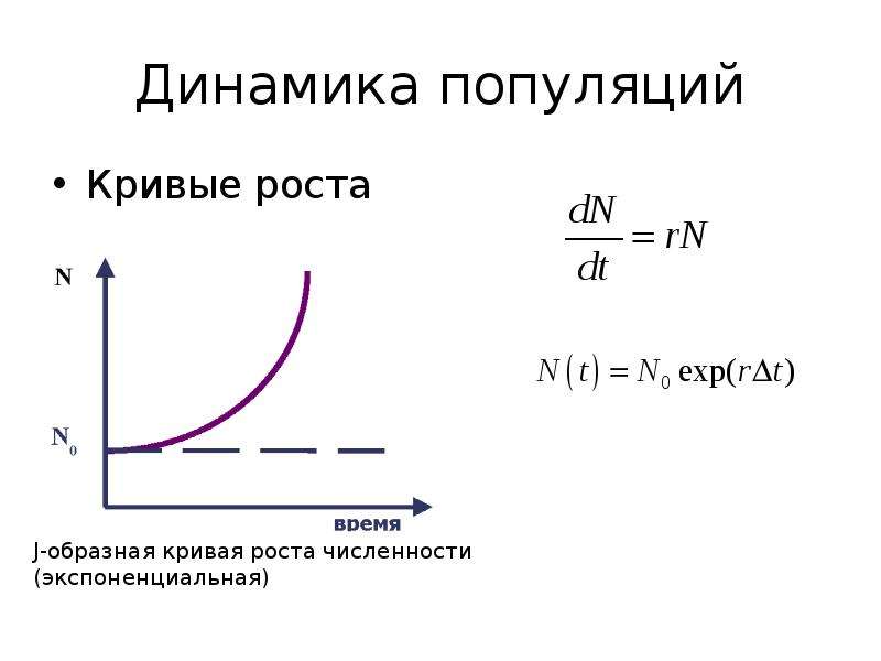 Динамика численности популяции 9 класс презентация