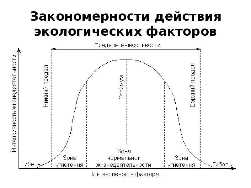 Схема действия экологического фактора