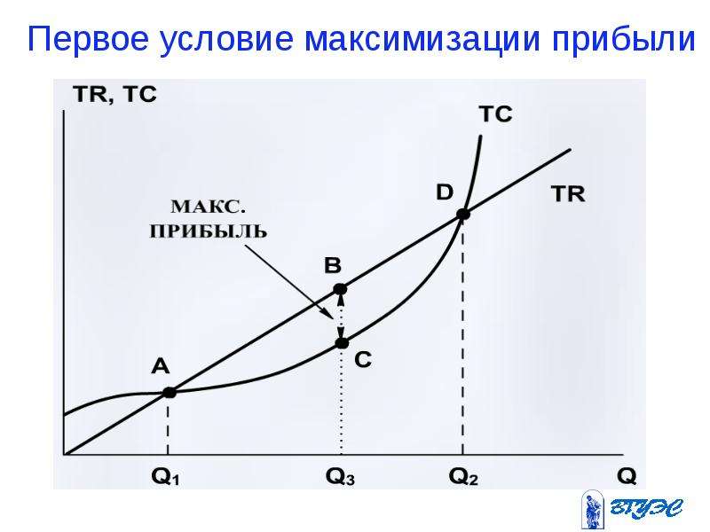 Максимизация прибыли на вложенные на реализацию проекта средства цель