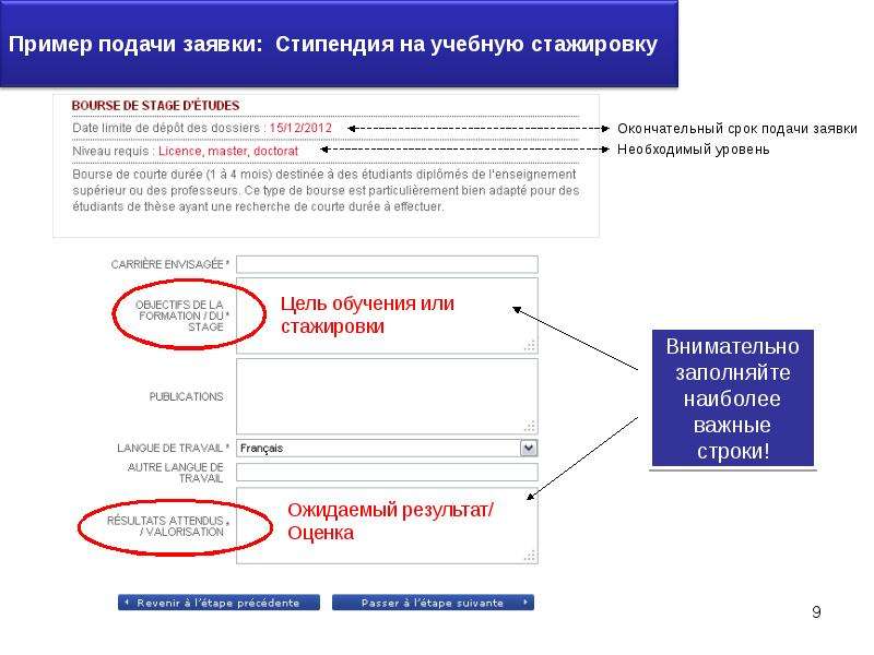 Подать образец. Образец подачи заявки. Образец подачи заявок на стипендии. Примеры подач. Подача заявки на стипендию.