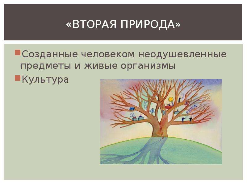 Вторая природа. Понятие вторая природа. Вторая природа сотворенная человеком. Феномен второй природы. Вторая природа презентация.