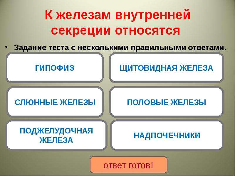 Тест железы. К железам внутренней секреции не относят. К парным железам внутренней секреции относят. К железкм внктреннней сереуии относится. Что не относится к железам внутренней секреции.