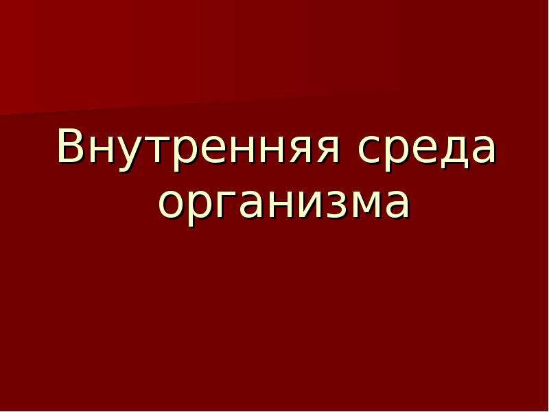 Презентация внутренняя