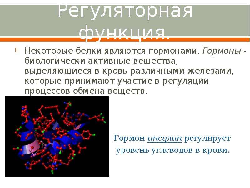 Функциями белка являются. Функции регуляторных белков. Функции белков Регуляторная функция. Регуляторная функция полисахаридов. Регуляторная функция белка.