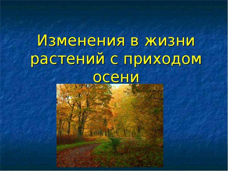 Презентация природа осенью. Жизнь растений осенью. Явления осени. Изменения растений осенью. Изменения в жизни растений осенью.