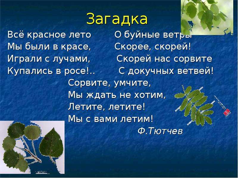 Загадка о ветре и дожде 1 класс. Загадки про ветер. Загадки на тему ветер. Загадки про ветер 3 класс. Загадка про росу.