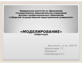 Федеральное агентство по образованию Государственное образовательное учреждение высшего профессионального образования «Сибирс